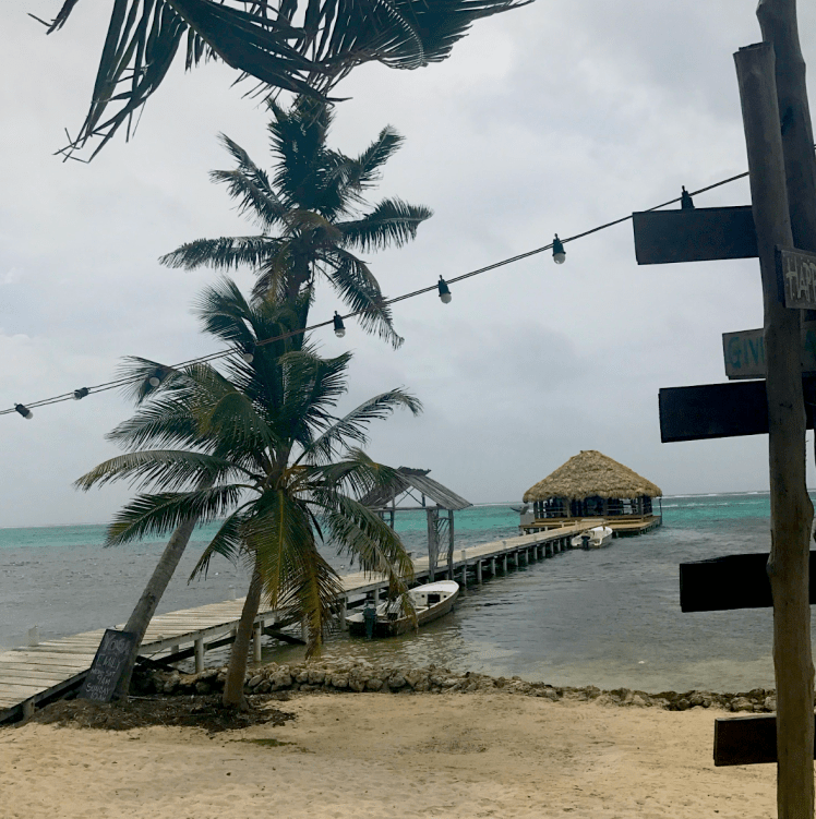 Screen Shot 2017-06-16 at 5.32.44 PM