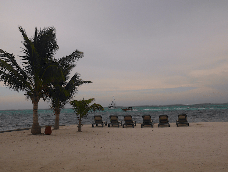 Screen Shot 2017-06-16 at 5.34.04 PM