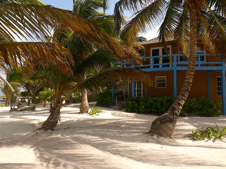 Screen Shot 2017-06-16 at 5.34.25 PM